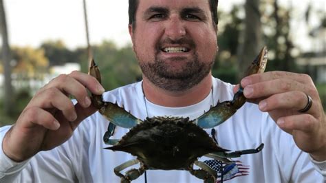 Crabs in jacksonville florida. Things To Know About Crabs in jacksonville florida. 